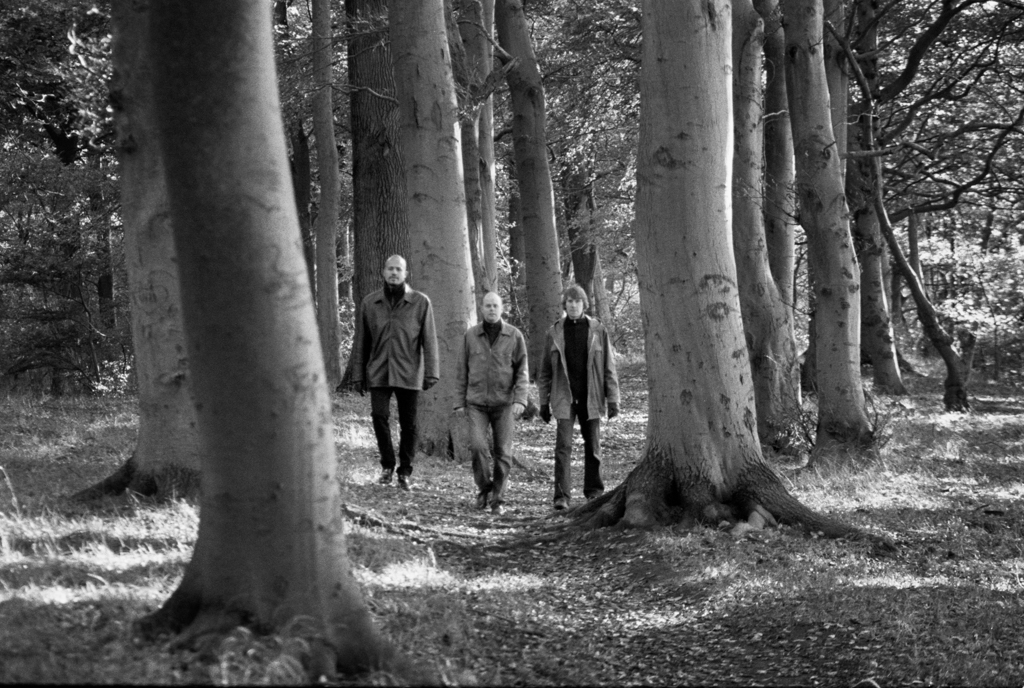 Kristian Marcussen Trio går mellem store træer i skov